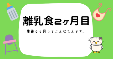 生後６ヶ月フウの離乳食が始まりました♪